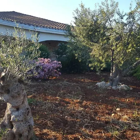La Civetta Rodonisa * Conversano