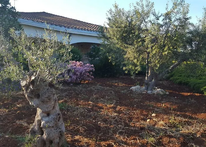 La Civetta Rodonisa * Conversano